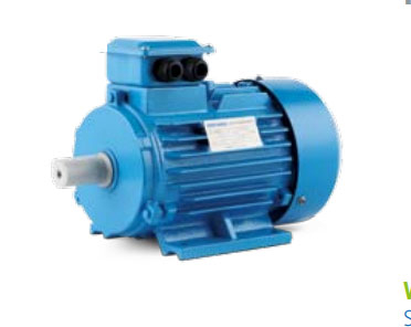 GOST Standard Motor
