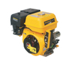 Gasoline Engine